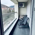 Pionir