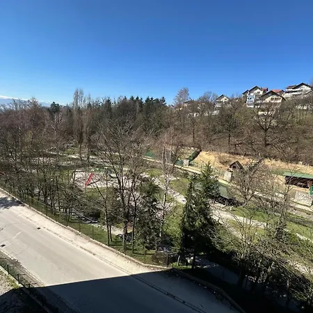 Pionir *